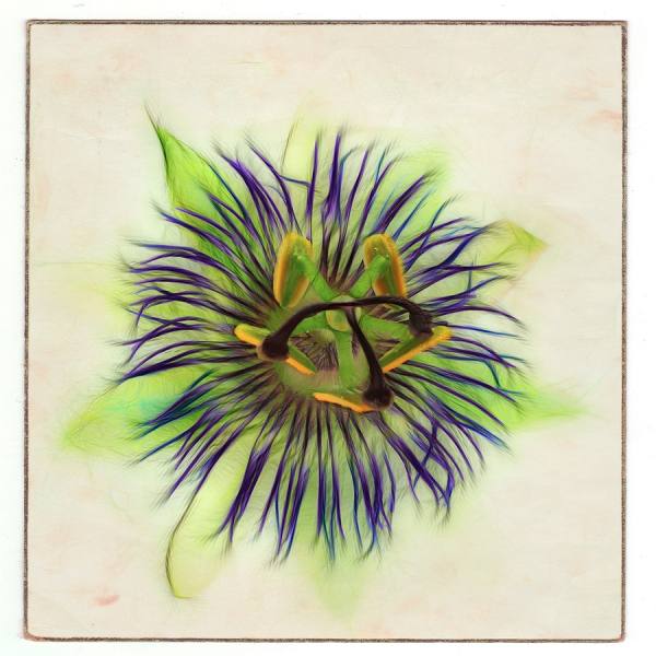 Photograph Michel Bochet Merand Passion Fractal on One Eyeland